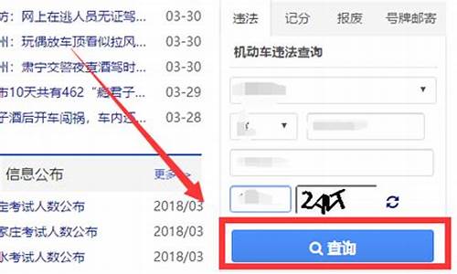 如何查车辆违章记录查询_怎么查车辆违章