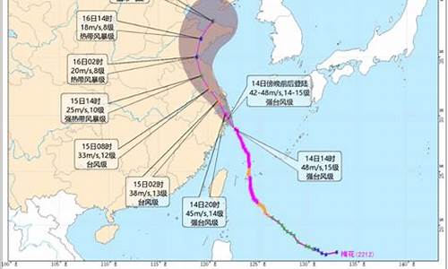 浙江台风网实时路径图_浙江台风