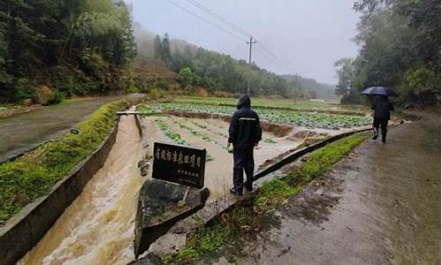 福建泰宁十五日天气预报_福建省泰宁县天气预报 新闻